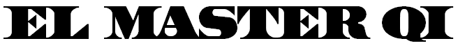MASTER QI LOGO